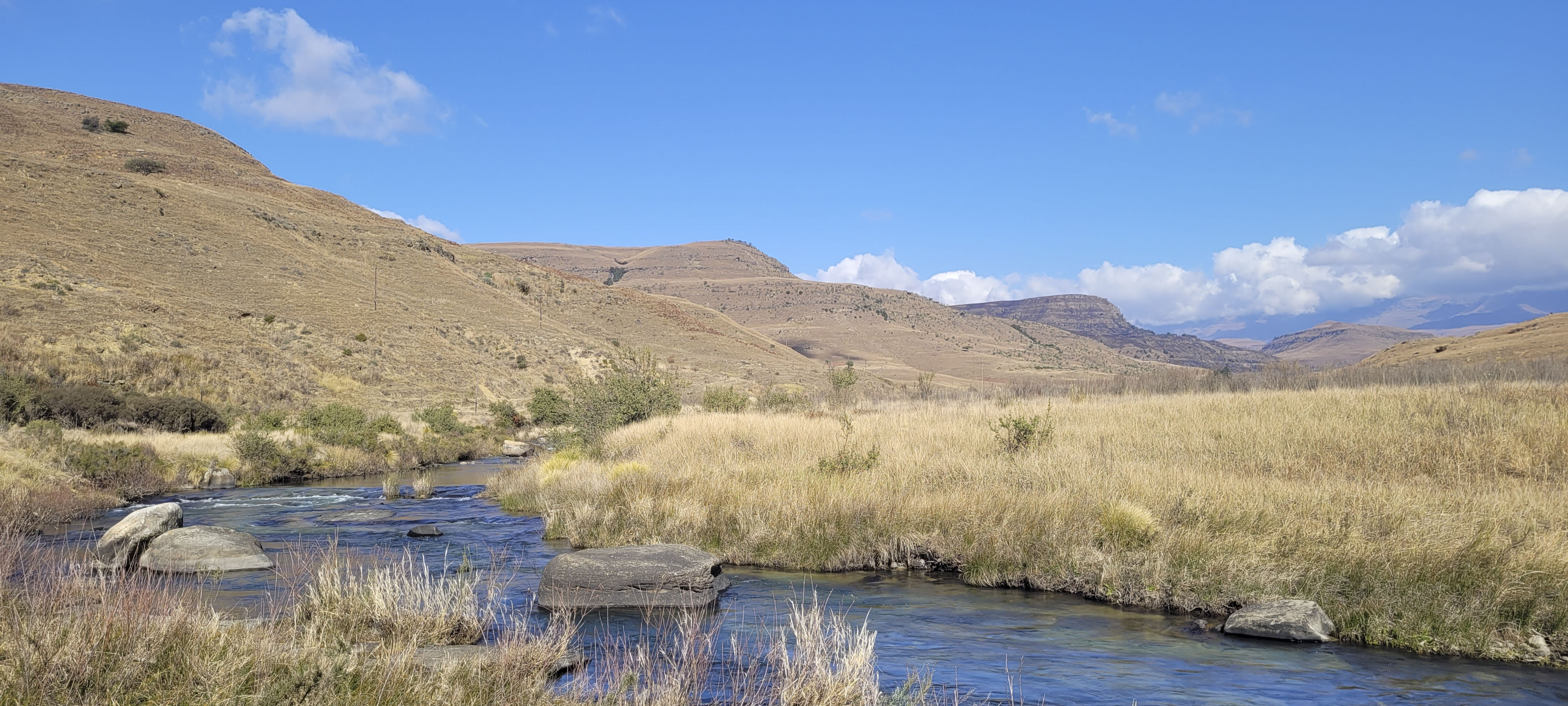 GYT 20220625 105226 20220625 105226